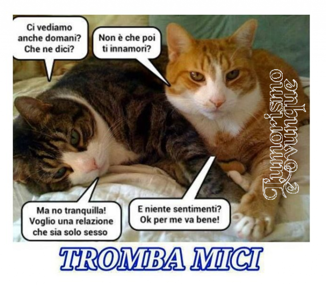 trombamici.png